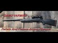 A Look At The Gamo Varmint Air Rifle