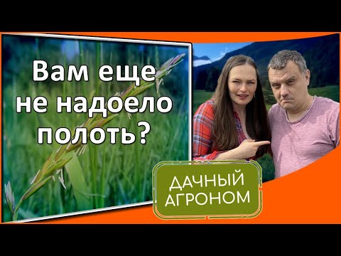 Видео: Борьба с овощными сорняками: как не допустить сорняков в огороде