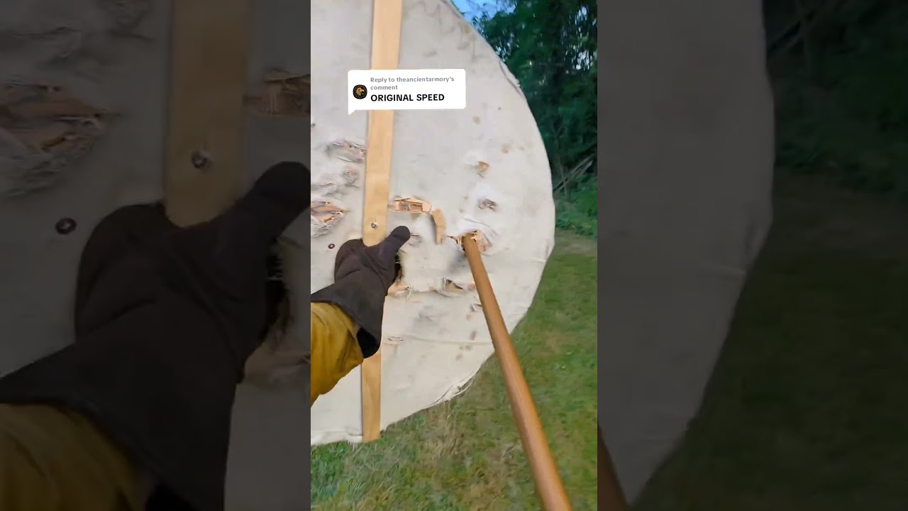 Here is the original speed of the spear throw video. #medieval #cosplay #viking #knight #bannerlord