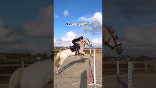 Long Legs😱✈️ #horse #equestrian #horseriding #viralshorts #fyp #amazing #trending ctto:lunadeboe