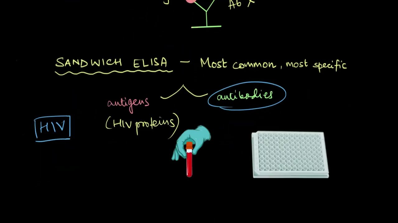 ELISA | Biotechnology and its Applications | Biology | Khan Academy