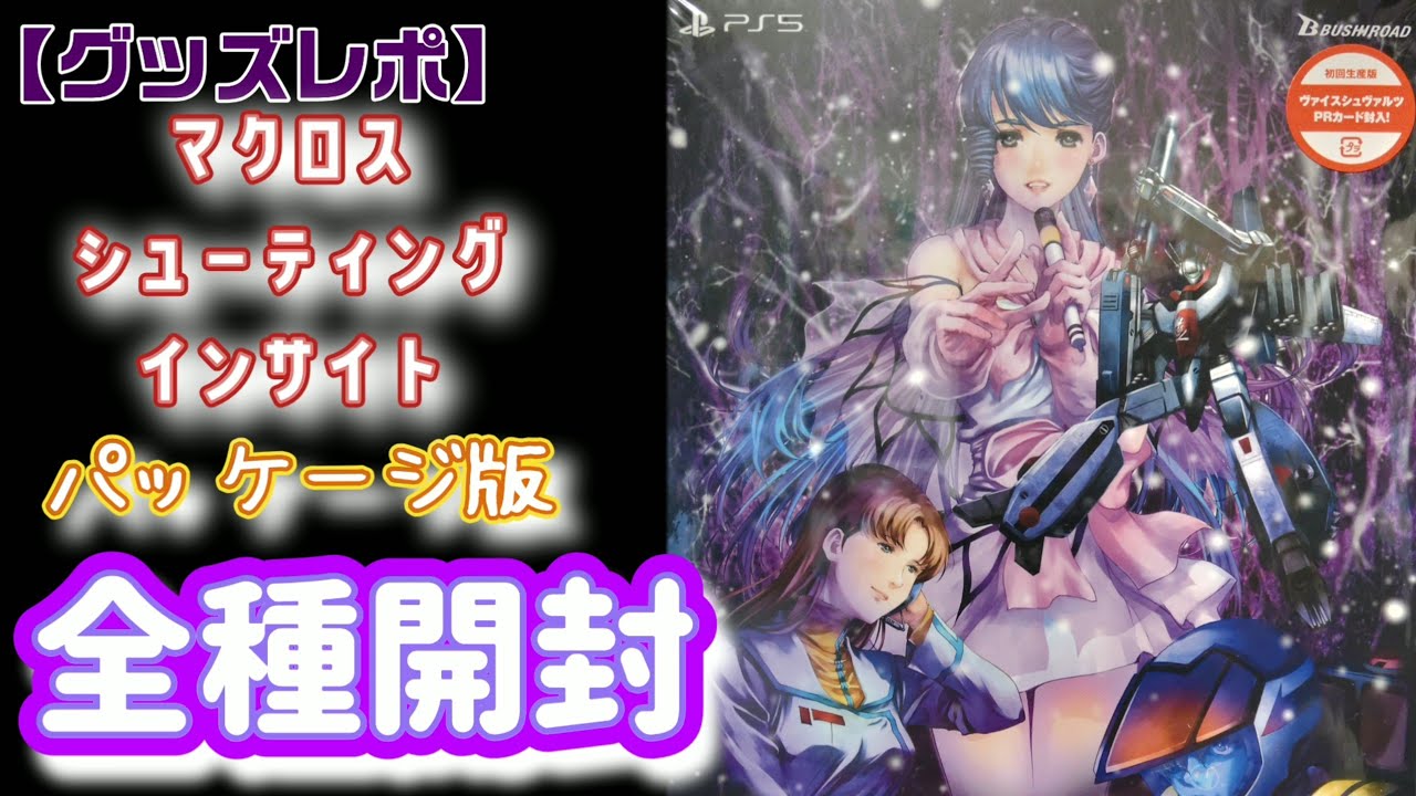 マクロス　shooting insight 非売品　　PRカード ブシロード SW版 マクロス -Shooting Insight- 通常版