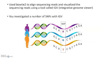 WES, sequence alignment, variant calling and annotation review, part 2