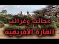 وثائقي حول الحياة البرية في القارة السوداء