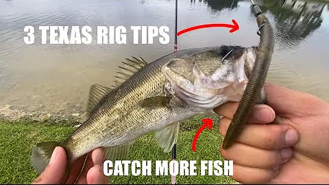 3 TEXAS RIG retrieves! | How to plastic worm fish!
