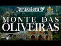 JERUSALÉM 06 | MONTE das OLIVEIRAS  |  ISRAEL | Série Viaje Comigo