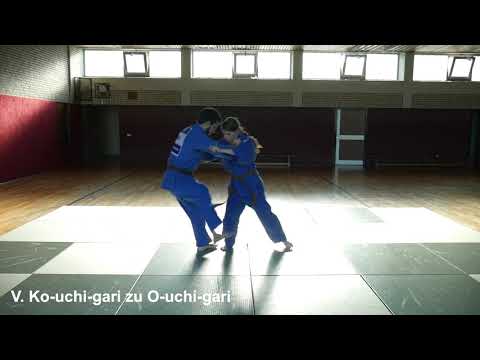 Judo || Kombinationen und Finten (Techniksammlung) - #ZusammenZumDan #33