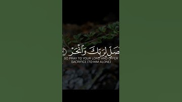 سورة الكوثر بصوت جميل وهادي #quran #explore #اسلام