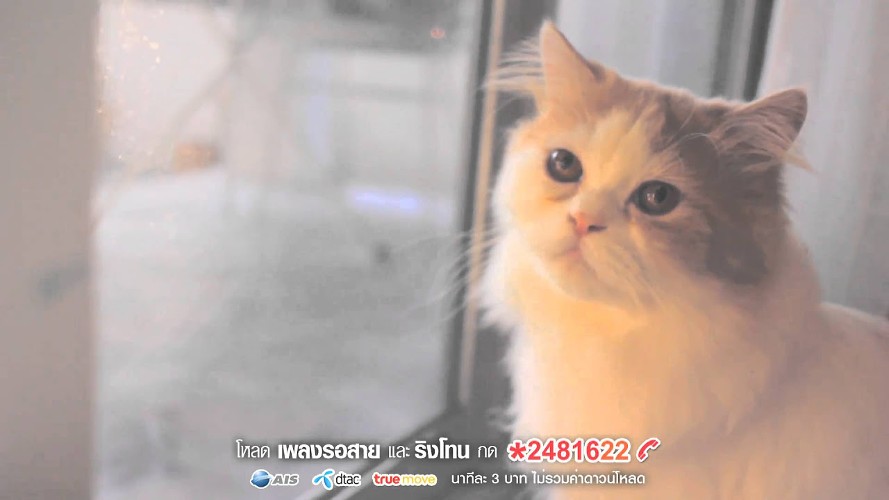 คํา พูด บอก รัก  Update  Sqweez Animal สควีซ แอนนิมอล - คำบางคำ Enchanté | (OFFICIAL MV)