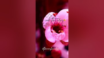 Inspiring HTML Quotes to Supercharge Your Coding Journey | HTML Quotes YouTube Shorts