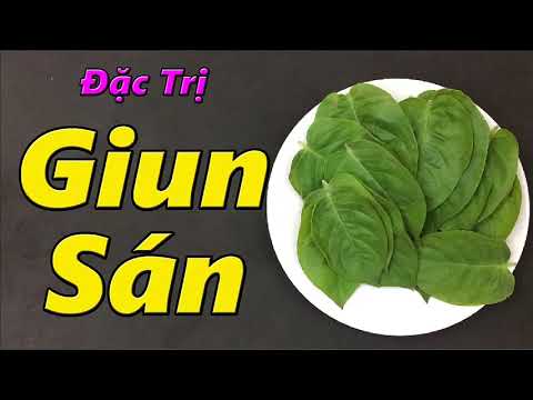 Chỉ cần 1 nắm lá mơ, Giun Sán nhiều đến cỡ nào cũng phải hết sạch ( mẹo chữa bệnh )