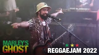 Video thumbnail of "Marley's Ghost - Reggaejam 2022"
