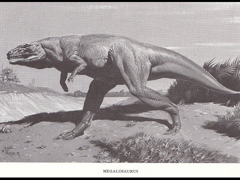 Resultado de imagen para megalosaurus comparación antes después