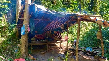 Cuộc sống rừng xanh • Tập 3 | Bữa cơm chia tay