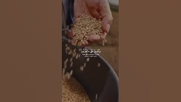 تلاوة تطهر القلب🌿 حالات واتس🌿 من سورة المزمل