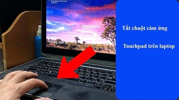 Hướng dẫn tắt mở chuột cảm ứng - touchpad trên laptop windows 11 | dandev