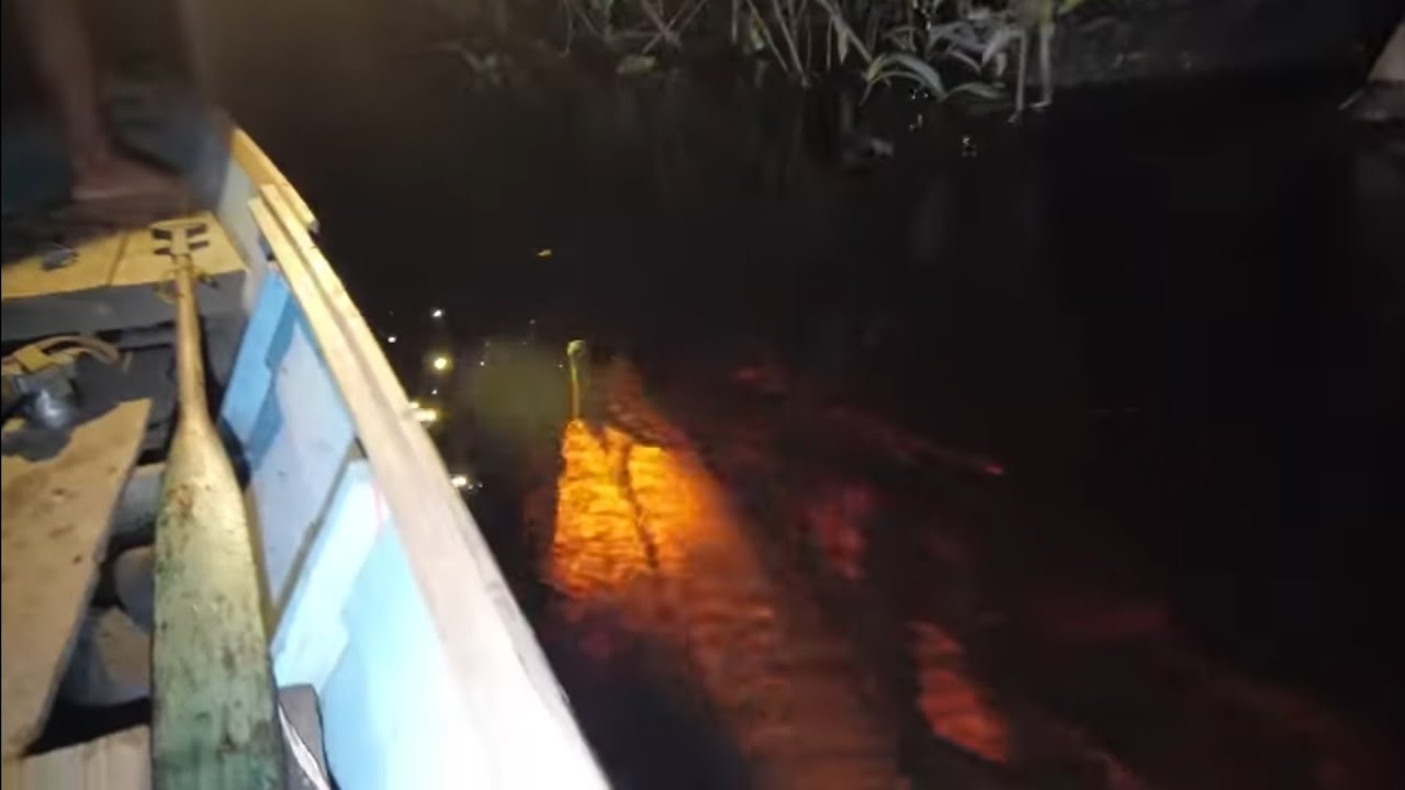 Malam nongol kepala, siang pesta strike peredator