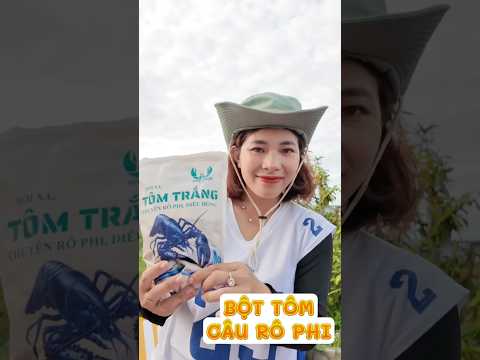 Bột tôm câu cá rô phi, diêu hồng, bung bụi khi xuống nước, tạo hiệu ứng kích thích cá về ổ nhanh