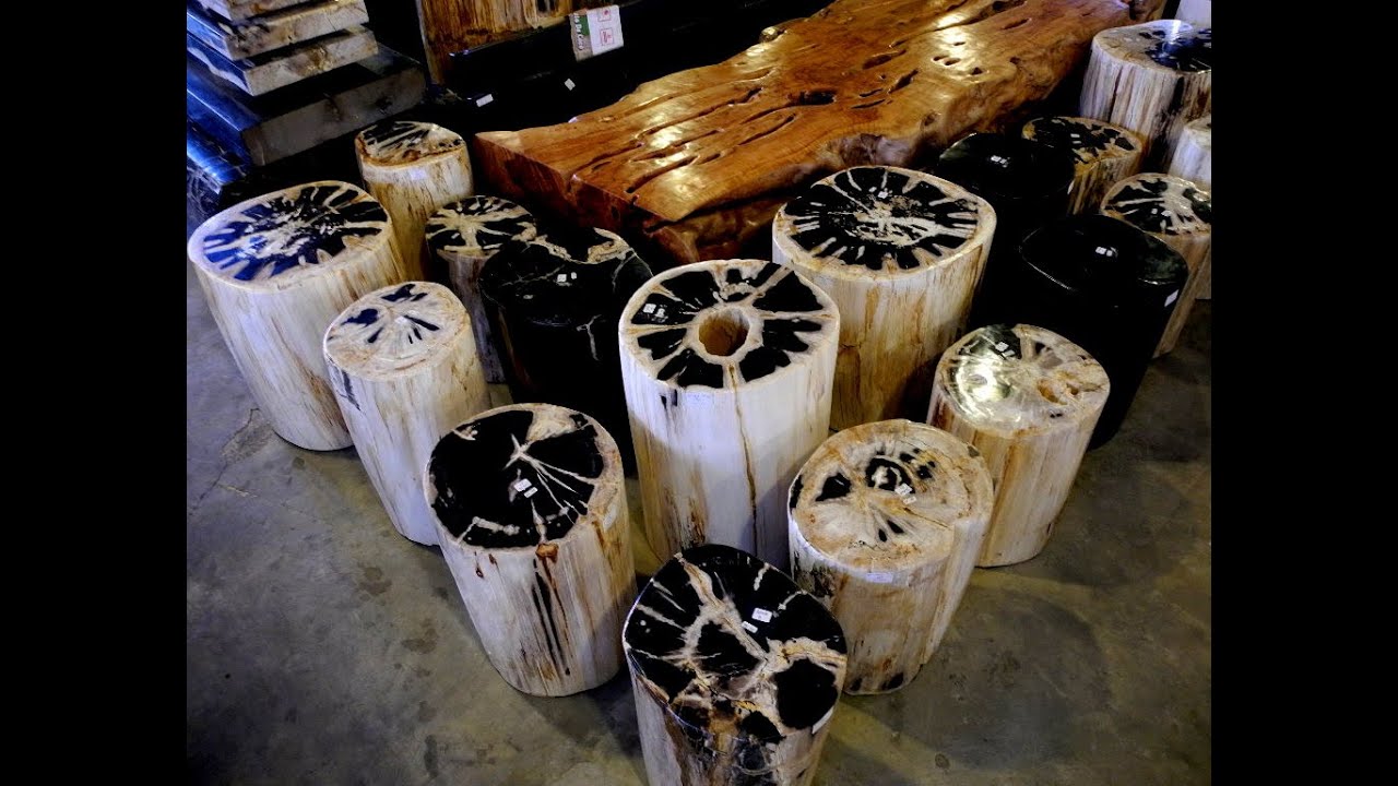 Petrified Wood Meaning YouTube