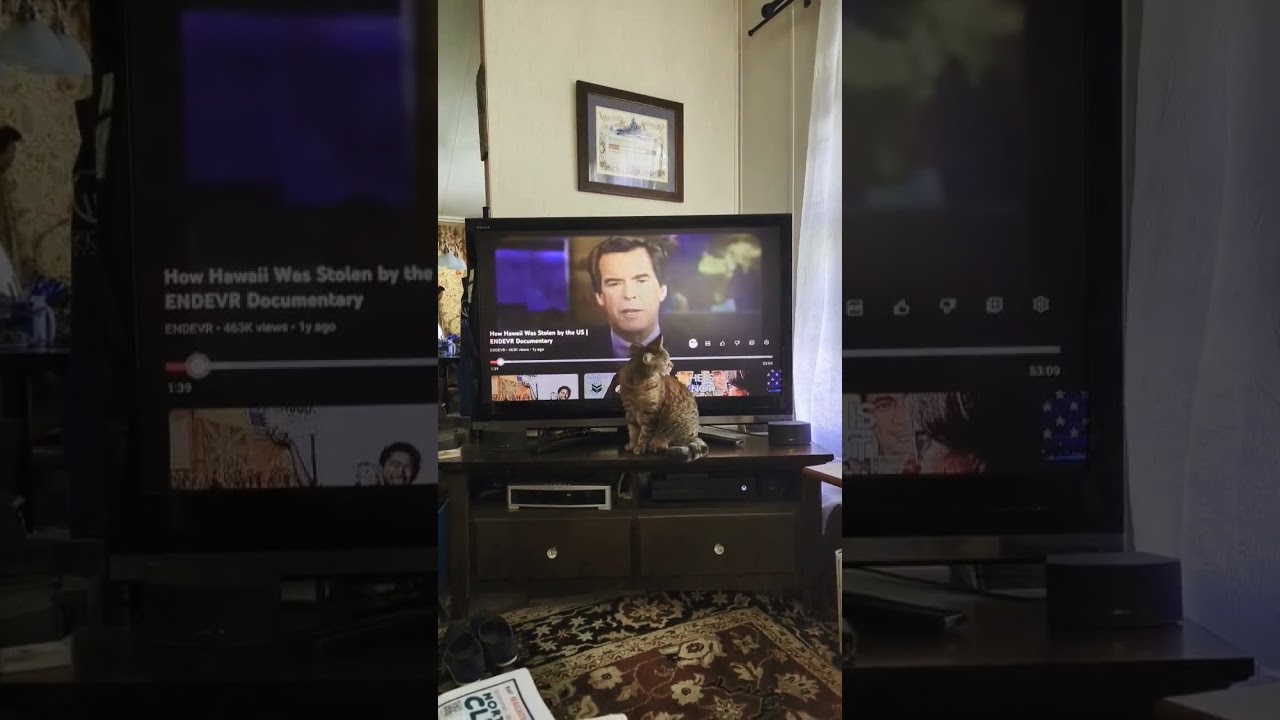 Clinton signs apology 