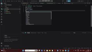 setup.py for developer
