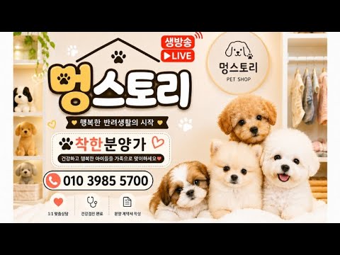 구독자100명이벤트 10%할인이벤트🐕강아지분양라이브🐕 🚗전국어디든분양가능🚗 #강아지 #강아지분양 #애견샵 #반려견  #귀여운강아지 #강아지영상 #라이브 #분양 #경북 #대구
