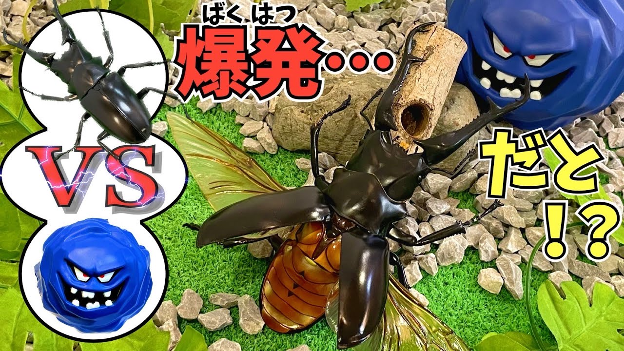 人形劇【戦え！重い岩を持ち上げろ！】ギラファノコギリクワガタvsばくだんいわ【虫vsドラクエ】