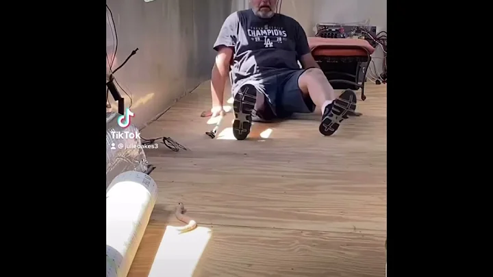 Snake Prank 2