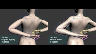 Muscle Rigging in 3ds Max, Maya & Unreal Engine｜Based on Akasaki’s Bone-Based Simulation