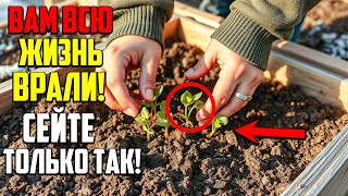 видео: Этот Простой Метод Посева Осенью Изменит Ваш Огород Навсегда! картинка: Этот Простой Метод Посева Осенью Изменит Ваш Огород Навсегда!