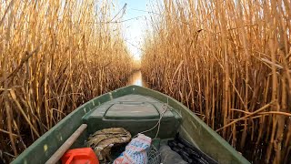 :  ,     .  - . , , .