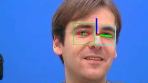 Real Time Eye Detection and Gaze Tracking for Driver Assistance System