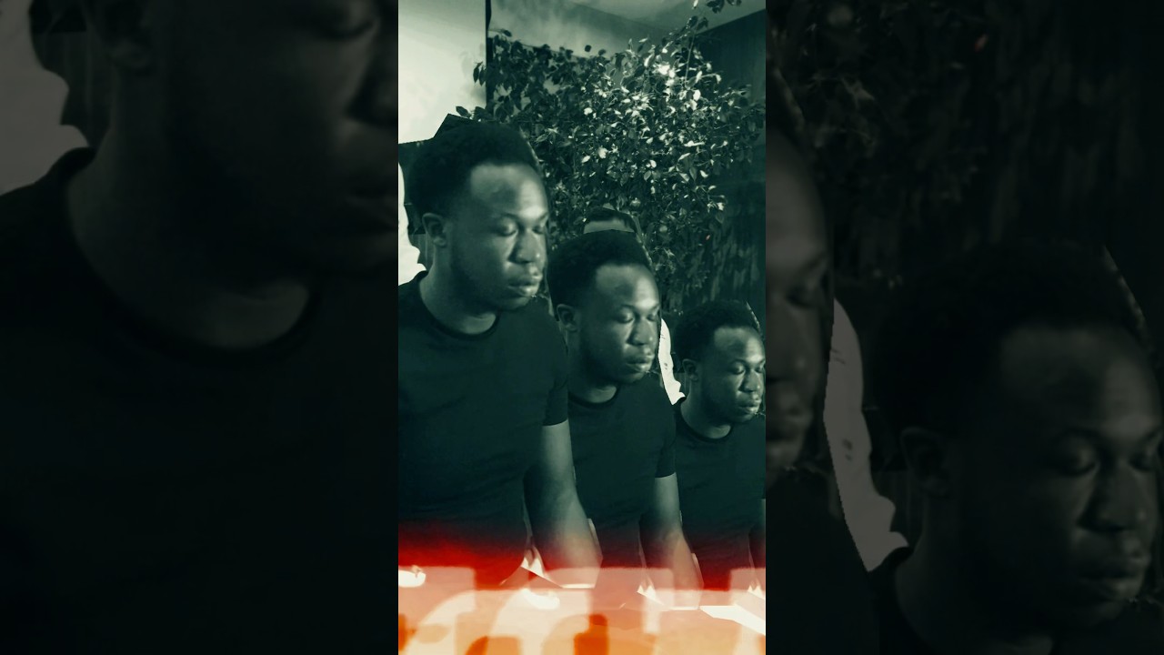 Afro American Hairline