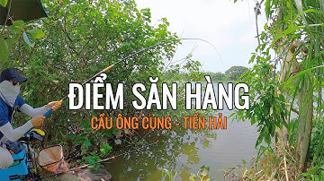 ✅ Một Ngày Thả Cần Tại Sông Lân – Tiền Hải | Câu Cá Sông Tự Nhiên Đầy Hấp Dẫn