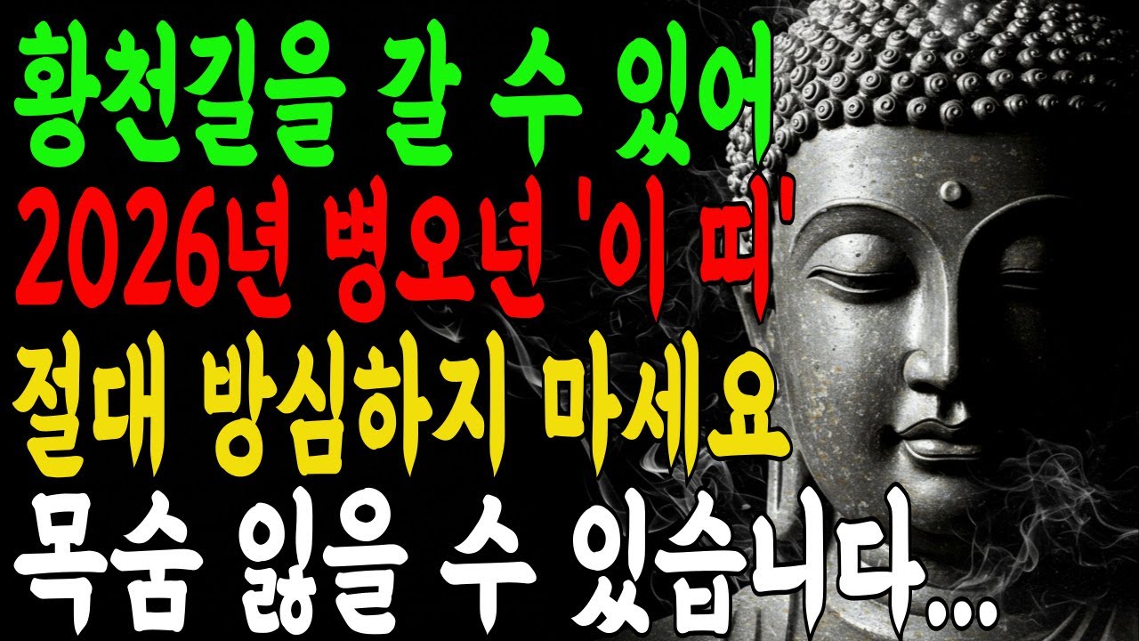 2026년 병오년 목숨을 잃을 수 있어 굉장히 위험한 띠 TOP3 I 부처님말씀 I 불교명언 I 석가모니 I 오디오북