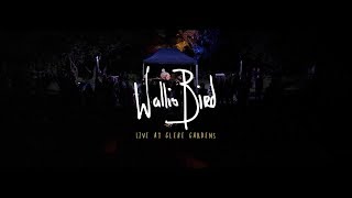 Wallis Bird - I am so Tired of That Line
