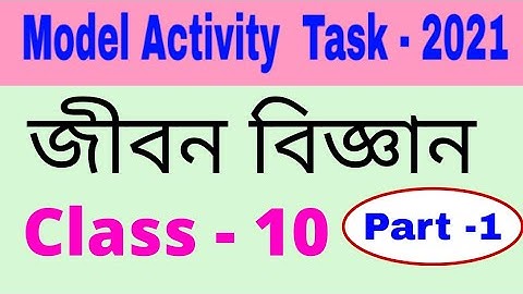 Model activity task class 10 life science part 1