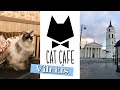 CAT CAFE VILNIUS! A Different Coffee Shop (+ Pacco dall'Italia) |Martina Morra