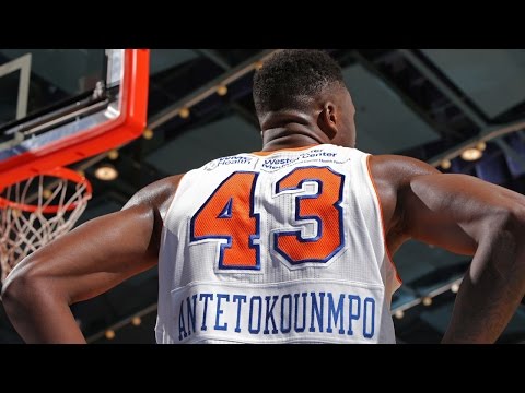 Thanasis Antetokounmpo 2015-16 Highlights w/ Westchester Knicks