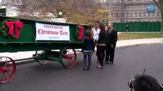 The First Lady Receives the White House Christmas Tree