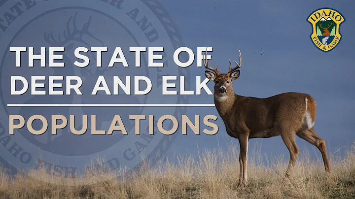 The State of Deer and Elk: Populations - DayDayNews