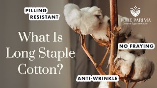 What is Long Staple Cotton? | The Best Cotton for Your Sheets | PURE PARIMA screenshot 4