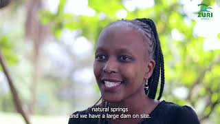 Exploring Zuri Springs: Unveiling the Essence of Luxury Living with Jackline Heta
