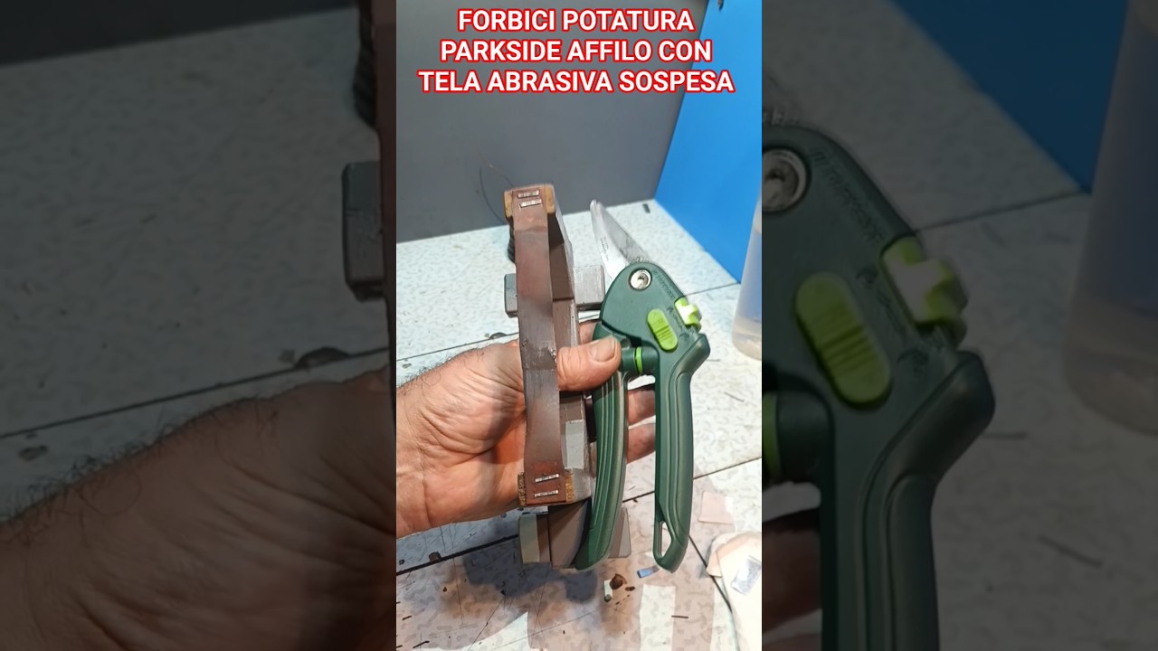 PARKSIDE FORBICI POTATURA AFFILO CON TELA ABRASIVA SOSPESA