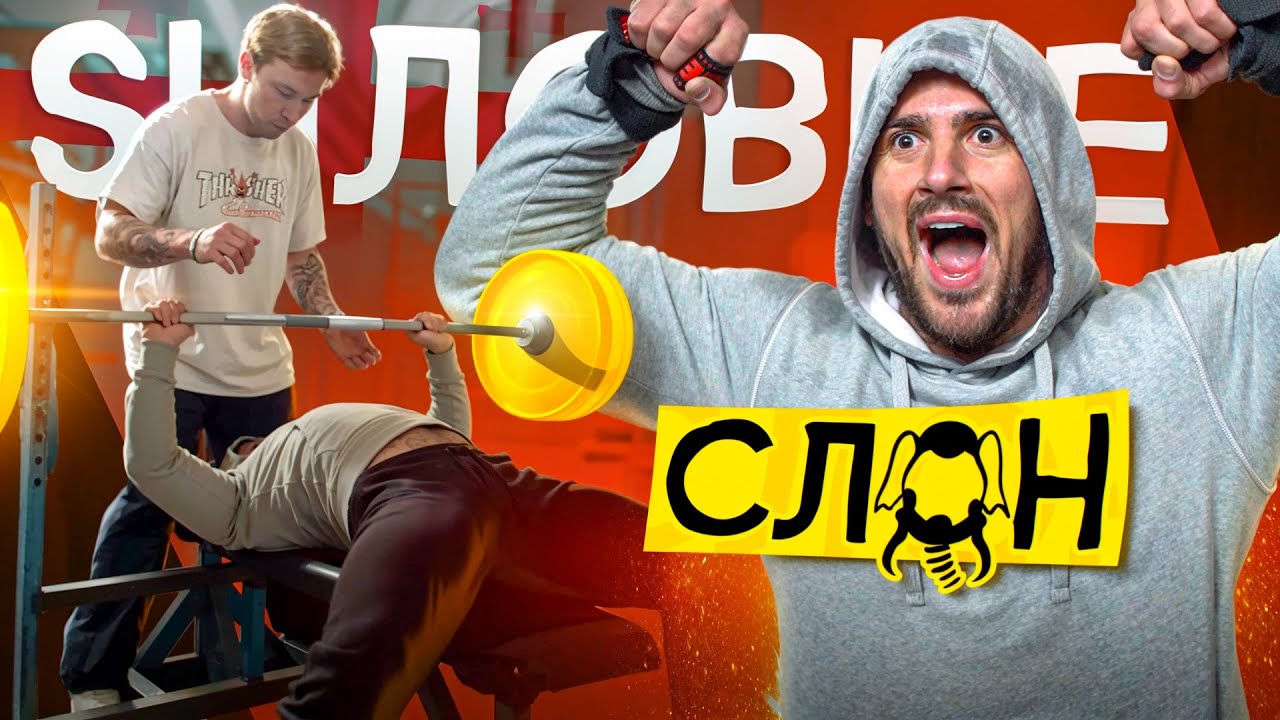 СИЛОВЫЕ СЛОНА | О БОЕ с ТАМАЕВЫМ, СТРИМАХ с МЕЛЛСТРОЕМ