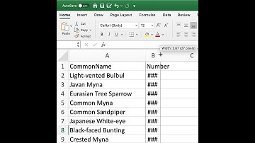 Excel Error ######