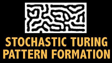 Stochastic Turing Pattern Evolution with NetLogo