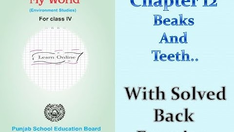 |Class 4th|EVS|PSEB|Chapter 12[Beaks And Teeth]