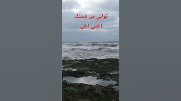 القرآن الكريم #اكسبلور #قرآن #راحة_نفسية #قران_كريم #عبدالباسط_عبدالصمد