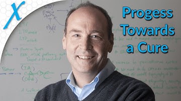 20 Years of Advancing Fragile X Research: Progress Toward a Cure